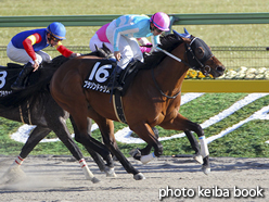 カラーパネル2017年2月12日東京10R バレンタインステークス(ブラゾンドゥリス)