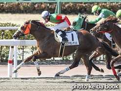 カラープリント(アルミ枠なし)2017年2月13日小倉6R 4歳上500万下(コロナボレアリス)