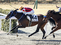 カラーパネル2017年2月13日小倉9R 4歳上500万下(ウインランブル)