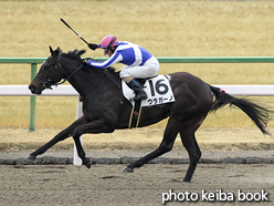 カラープリント(アルミ枠付き)2017年2月18日京都1R 3歳未勝利(ウラガーノ)