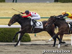 カラープリント(アルミ枠付き)2017年2月18日京都2R 3歳未勝利(カフジグローリー)