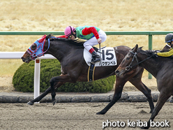 カラープリント(アルミ枠付き)2017年2月18日京都3R 3歳未勝利(ハクサンベル)