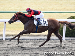 カラープリント(アルミ枠付き)2017年2月18日京都4R 3歳新馬(アスターゴールド)