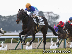 カラーパネル2017年2月18日京都5R 3歳未勝利(アドマイヤロブソン)