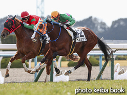 カラープリント(アルミ枠付き)2017年2月18日京都6R 3歳500万下(ベルカプリ)