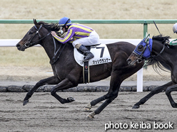 カラープリント(アルミ枠なし)2017年2月18日京都12R 4歳上1000万下(マッシヴランナー)