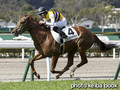 カラープリント(アルミ枠なし)2017年2月18日小倉4R 3歳未勝利(ニシノヒナマツリ)