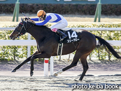 カラーパネル2017年2月18日小倉11R 和布刈特別(スリーアロー)