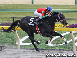 カラーパネル2017年2月18日東京10R 金蹄ステークス(マイネルトゥラン)