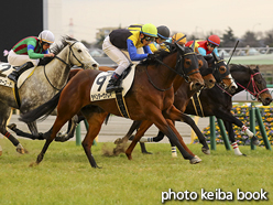 カラーパネル2017年2月18日東京12R 4歳上1000万下(ラベンダーヴァレイ)