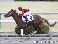 カラーパネル2017年2月19日京都6R 3歳500万下(アスタースウィング)