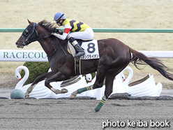 カラープリント(アルミ枠なし)2017年2月19日京都8R 4歳上500万下(キングライオン)