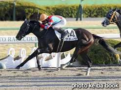 カラーパネル2017年2月19日京都12R 4歳上1000万下(アチーヴ)