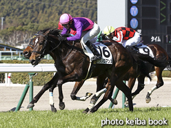 カラーパネル2017年2月19日小倉3R 3歳未勝利(カシノロマンス)