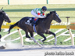 カラーパネル2017年2月19日東京9R ヒヤシンスステークス(エピカリス)