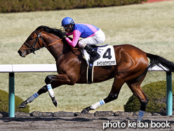 カラープリント(アルミ枠付き)2017年2月25日阪神2R 3歳未勝利(メイショウヤエヤマ)