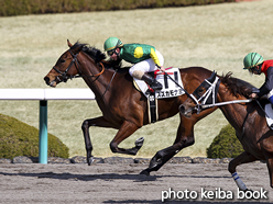 カラープリント(アルミ枠付き)2017年2月25日阪神3R 3歳新馬(スズカモナミ)