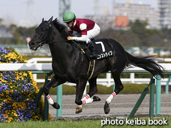 カラーパネル2017年2月25日阪神9R 丹波特別(ピンストライプ)