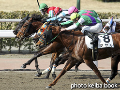 カラープリント(アルミ枠なし)2017年2月25日小倉2R 3歳未勝利(ブキス)