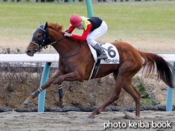 カラープリント(アルミ枠付き)2017年2月25日中山1R 3歳未勝利(アポロマーキュリー)