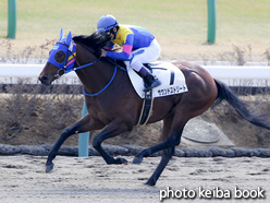 カラープリント(アルミ枠なし)2017年2月25日中山2R 3歳未勝利(サウンドストリート)