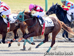 カラープリント(アルミ枠なし)2017年2月25日中山4R 障害未勝利(ウインセイヴィア)