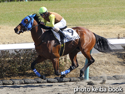 カラープリント(アルミ枠なし)2017年2月25日中山8R 4歳上500万下(プレシャスエース)