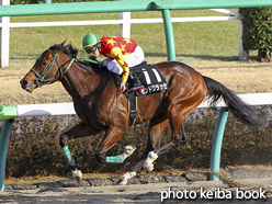 カラープリント(アルミ枠なし)2017年2月25日中山11R 総武ステークス(モンドクラッセ)