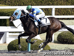 カラープリント(アルミ枠なし)2017年2月26日阪神1R 3歳未勝利(ミスレジェンド)