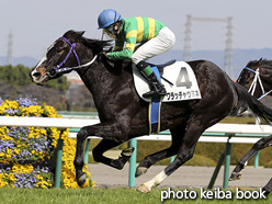 カラーパネル2017年2月26日阪神5R 3歳未勝利(ワラッチャウヨネ)