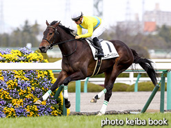 カラーパネル2017年2月26日阪神8R 4歳上500万下(タニノアーバンシー)