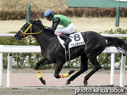 カラープリント(アルミ枠なし)2017年2月26日小倉1R 3歳未勝利(クリノライメイ)