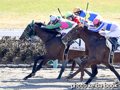 カラープリント(アルミ枠付き)2017年2月26日中山1R 3歳未勝利(ケイティクエスト)