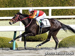 カラーパネル2017年3月4日阪神3R 3歳新馬(エンパイアガール)