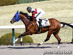 カラーパネル2017年3月4日阪神4R 障害未勝利(ゴースルー)