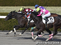 カラープリント(アルミ枠付き)2017年3月4日阪神8R 4歳上500万下(スノードルフィン)