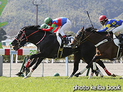 カラーパネル2017年3月4日小倉8R 4歳上500万下(オールドクラシック)