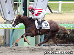 カラープリント(アルミ枠なし)2017年3月4日中山4R 3歳新馬(トライデントミノル)