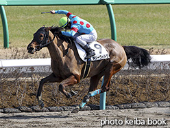 カラープリント(アルミ枠付き)2017年3月4日中山8R 4歳上1000万下(メリーウィドウ)