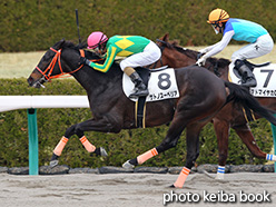 カラーパネル2017年3月5日阪神8R 4歳上500万下(サトノスーペリア)