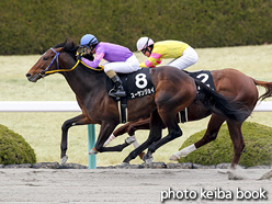 カラーパネル2017年3月5日阪神10R ポラリスステークス(スーサンジョイ)