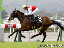 カラープリント(アルミ枠なし)2017年3月5日小倉10R 萌黄賞(ショウナンマッシブ)