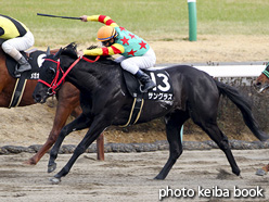 カラーパネル2017年3月5日中山10R 上総ステークス(サングラス)