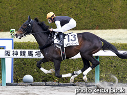 カラープリント(アルミ枠なし)2017年3月11日阪神3R 3歳新馬(レインボージャージ)