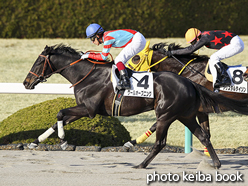 カラープリント(アルミ枠なし)2017年3月11日阪神12R 4歳上1000万下(クールオープニング)