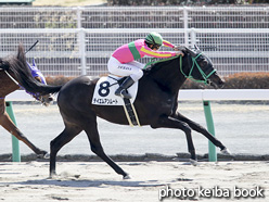 カラープリント(アルミ枠なし)2017年3月11日中京4R 3歳未勝利(テイエムアンムート)