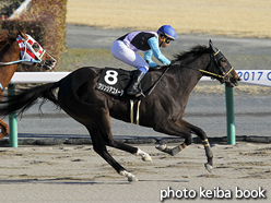 カラーパネル2017年3月11日中京12R 瀬戸特別(プリンシアコメータ)