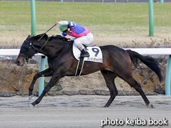 カラープリント(アルミ枠付き)2017年3月11日中山12R 4歳上1000万下(バイオンディップス)