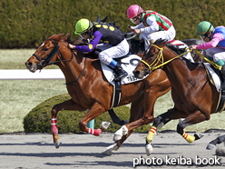 カラープリント(アルミ枠付き)2017年3月12日阪神3R 3歳未勝利(マルヨシャバーリー)