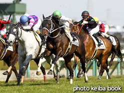 カラーパネル2017年3月12日阪神8R 4歳上500万下(ステファンバローズ)